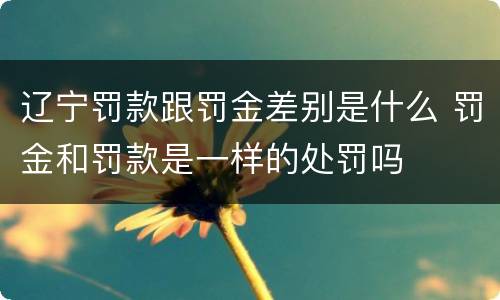 辽宁罚款跟罚金差别是什么 罚金和罚款是一样的处罚吗