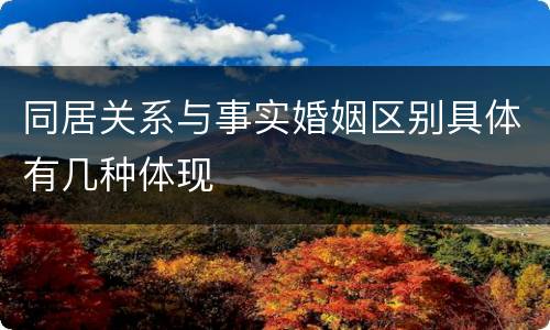 同居关系与事实婚姻区别具体有几种体现