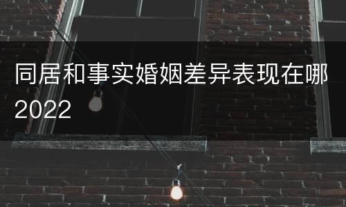 同居和事实婚姻差异表现在哪2022
