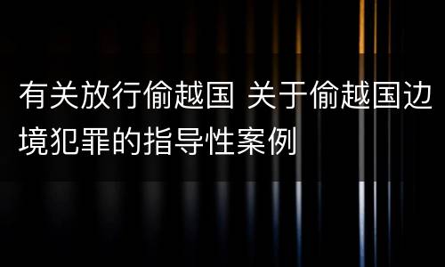有关放行偷越国 关于偷越国边境犯罪的指导性案例