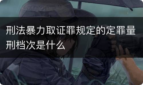 刑法暴力取证罪规定的定罪量刑档次是什么