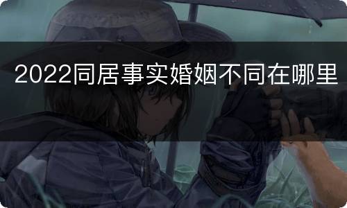 2022同居事实婚姻不同在哪里