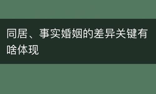 同居、事实婚姻的差异关键有啥体现