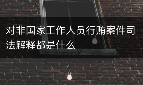 对非国家工作人员行贿案件司法解释都是什么
