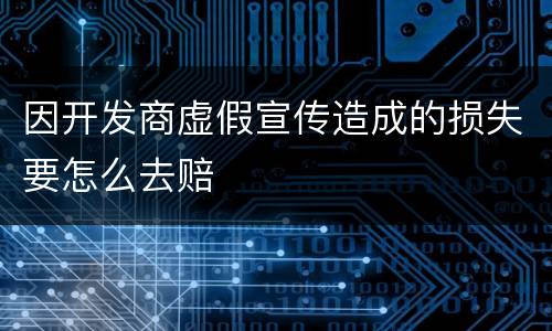 因开发商虚假宣传造成的损失要怎么去赔