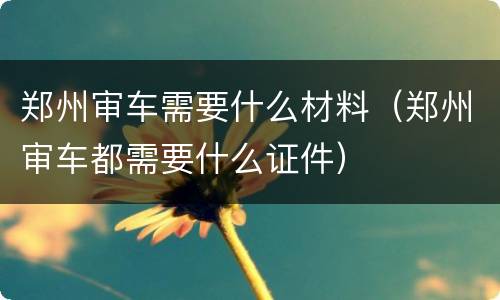 郑州审车需要什么材料（郑州审车都需要什么证件）