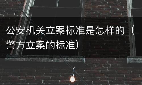 公安机关立案标准是怎样的（警方立案的标准）