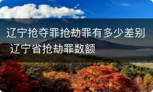 辽宁抢夺罪抢劫罪有多少差别 辽宁省抢劫罪数额