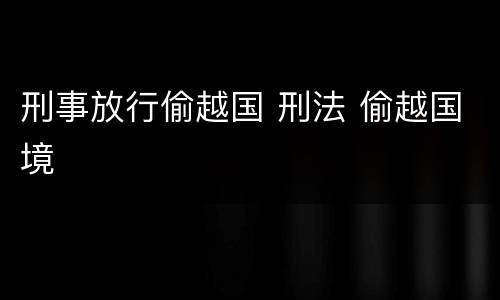 刑事放行偷越国 刑法 偷越国境