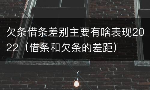 欠条借条差别主要有啥表现2022（借条和欠条的差距）