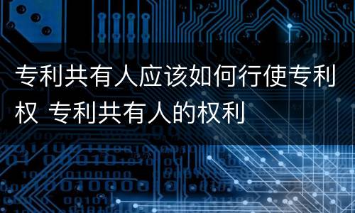 专利共有人应该如何行使专利权 专利共有人的权利