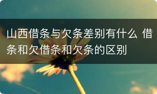 山西借条与欠条差别有什么 借条和欠借条和欠条的区别