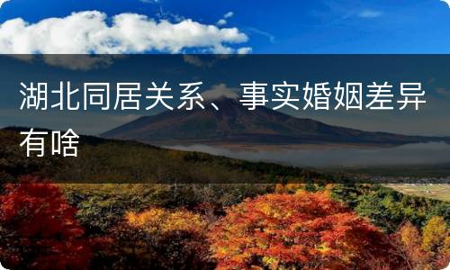 湖北同居关系、事实婚姻差异有啥