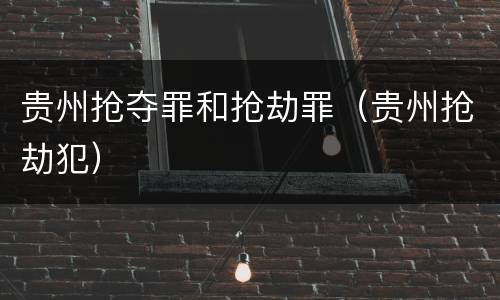贵州抢夺罪和抢劫罪（贵州抢劫犯）