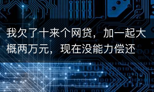 我欠了十来个网贷，加一起大概两万元，现在没能力偿还