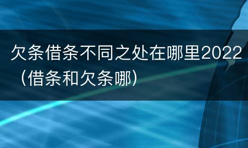 欠条借条不同之处在哪里2022（借条和欠条哪）
