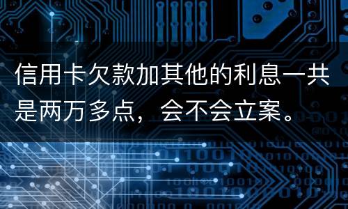 信用卡欠款加其他的利息一共是两万多点，会不会立案。