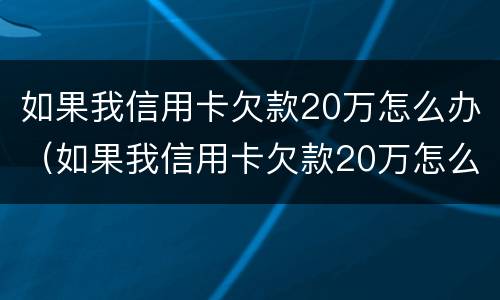 如果我信用卡欠款20万怎么办（如果我信用卡欠款20万怎么办呢）