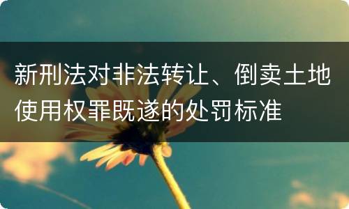 新刑法对非法转让、倒卖土地使用权罪既遂的处罚标准