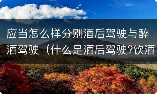 应当怎么样分别酒后驾驶与醉酒驾驶（什么是酒后驾驶?饮酒驾驶与醉酒驾驶的区别是什么?）