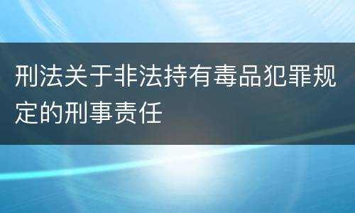 刑法关于非法持有毒品犯罪规定的刑事责任