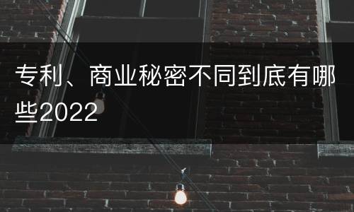 专利、商业秘密不同到底有哪些2022