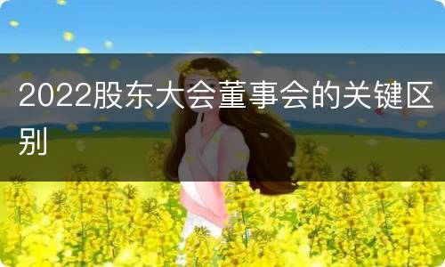2022股东大会董事会的关键区别