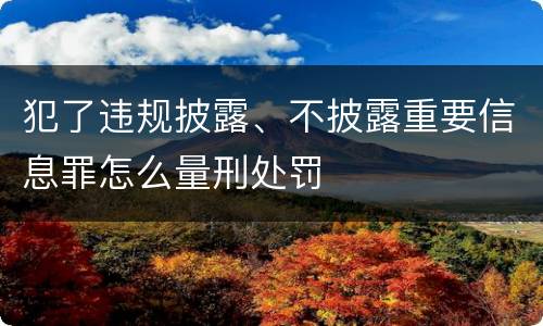 犯了违规披露、不披露重要信息罪怎么量刑处罚