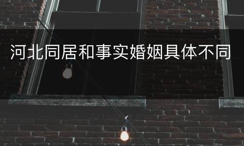 河北同居和事实婚姻具体不同