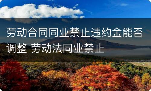 劳动合同同业禁止违约金能否调整 劳动法同业禁止