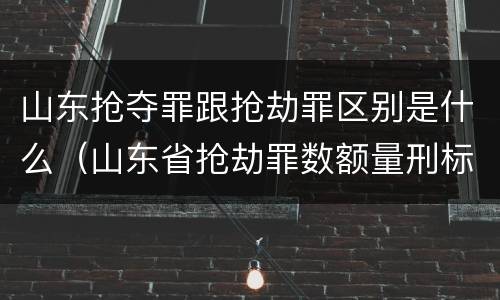 山东抢夺罪跟抢劫罪区别是什么（山东省抢劫罪数额量刑标准）