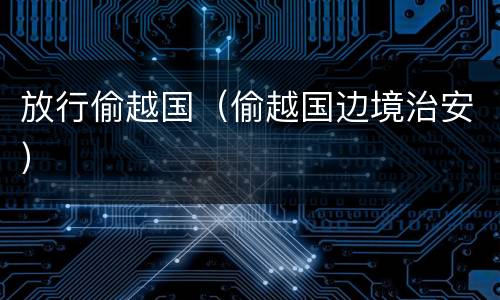 放行偷越国（偷越国边境治安）