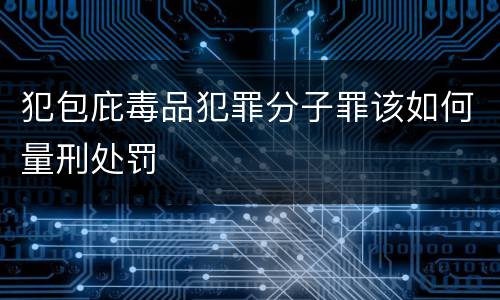 犯包庇毒品犯罪分子罪该如何量刑处罚