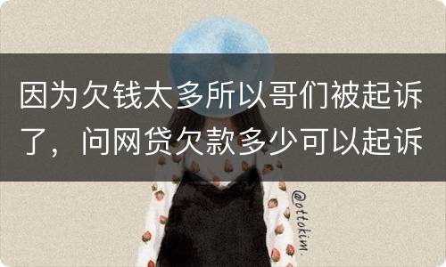 因为欠钱太多所以哥们被起诉了,问网贷欠款多少可以起诉