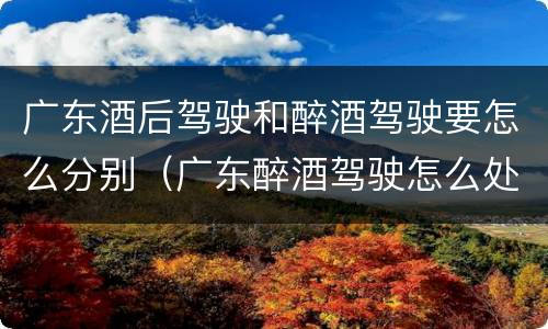 广东酒后驾驶和醉酒驾驶要怎么分别（广东醉酒驾驶怎么处罚）