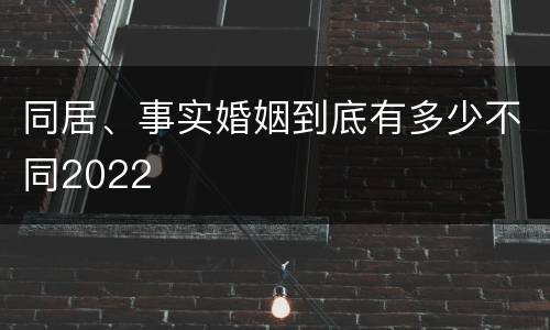 同居、事实婚姻到底有多少不同2022