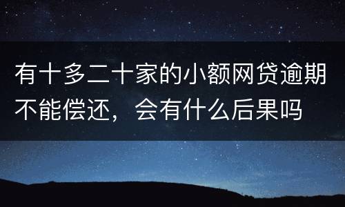 有十多二十家的小额网贷逾期不能偿还，会有什么后果吗