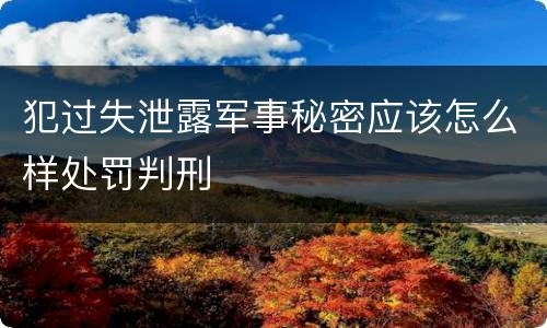 犯过失泄露军事秘密应该怎么样处罚判刑