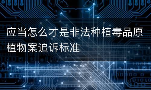 应当怎么才是非法种植毒品原植物案追诉标准