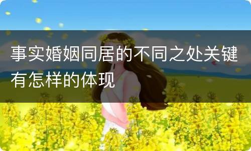 事实婚姻同居的不同之处关键有怎样的体现