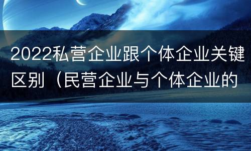 2022私营企业跟个体企业关键区别（民营企业与个体企业的区别）