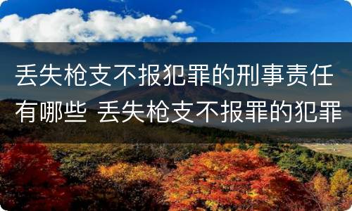 丢失枪支不报犯罪的刑事责任有哪些 丢失枪支不报罪的犯罪主体只能是什么