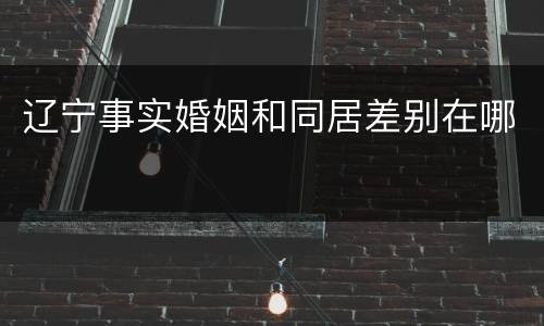 辽宁事实婚姻和同居差别在哪