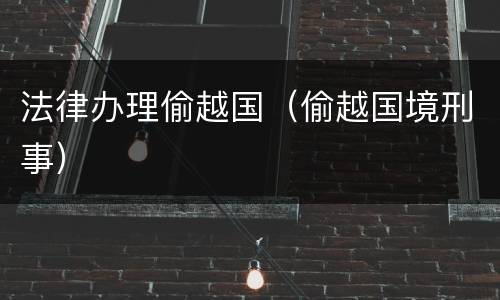 法律办理偷越国（偷越国境刑事）