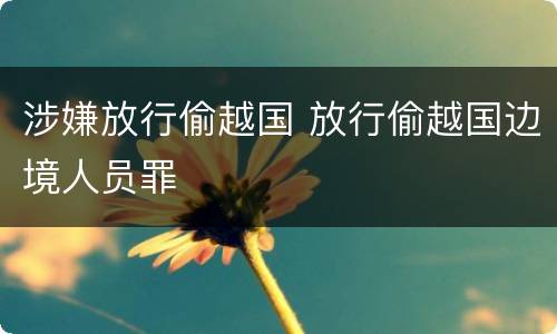 涉嫌放行偷越国 放行偷越国边境人员罪