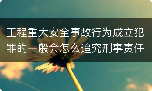 工程重大安全事故行为成立犯罪的一般会怎么追究刑事责任