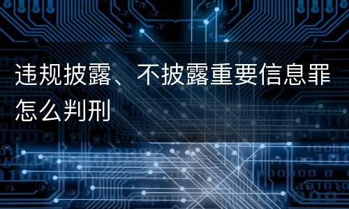 违规披露、不披露重要信息罪怎么判刑