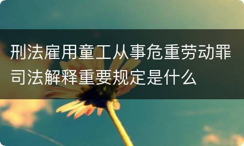刑法雇用童工从事危重劳动罪司法解释重要规定是什么