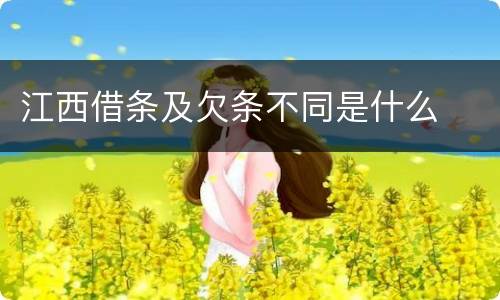 江西借条及欠条不同是什么