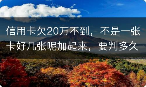 信用卡欠20万不到，不是一张卡好几张呢加起来，要判多久